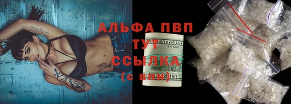 прущие грибы Краснослободск