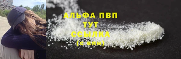прущие грибы Краснослободск