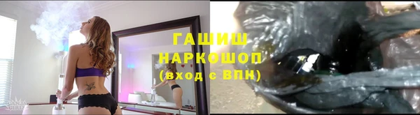 прущие грибы Краснослободск