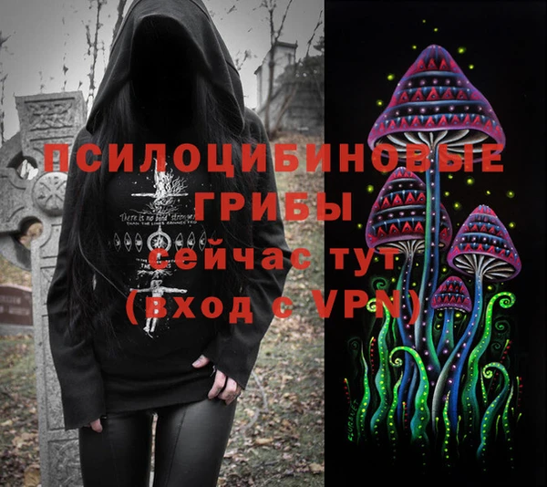 прущие грибы Краснослободск