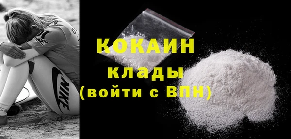 гидра Кулебаки