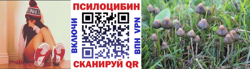 магазин  наркотиков  Южа  Псилоцибиновые грибы ЛСД 